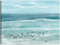 Aves marinas - Studio Arts