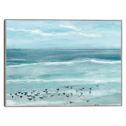 Aves marinas - Studio Arts