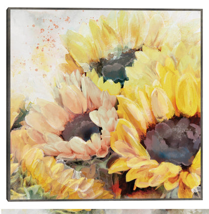 Plaza del panel solar - Studio Arts