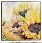 Plaza del panel solar - Studio Arts