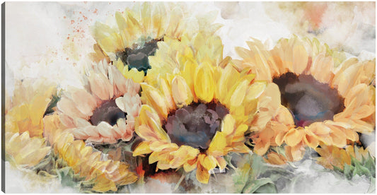 Panel solar - Studio Arts