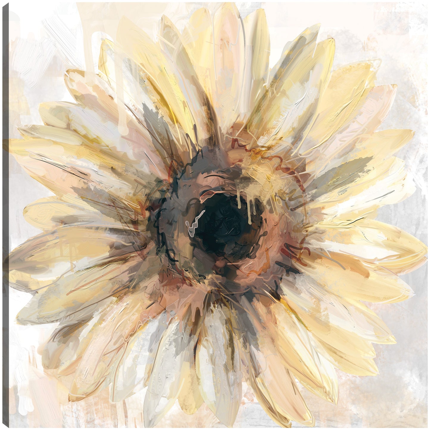 Soleado - Studio Arts