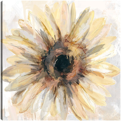 Soleado - Studio Arts