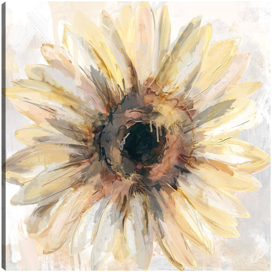 Soleado - Studio Arts