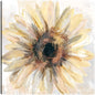 Soleado - Studio Arts