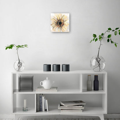 Soleado - Studio Arts