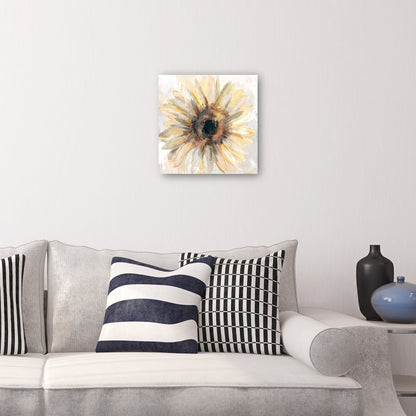 Soleado - Studio Arts