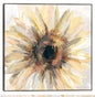Soleado - Studio Arts