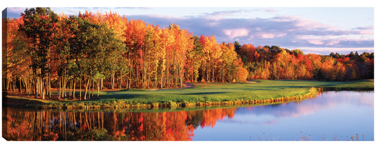 Reflexiones del espectro de otoño - Panoramic Images