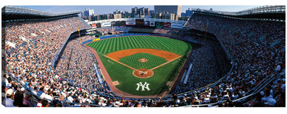 Go Yankees NYC - Panoramic Images