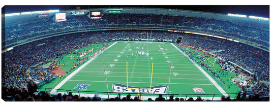 Estadio Philly Eagles - Panoramic Images