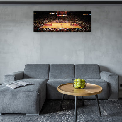 Juego de Bulls Suns - Panoramic Images