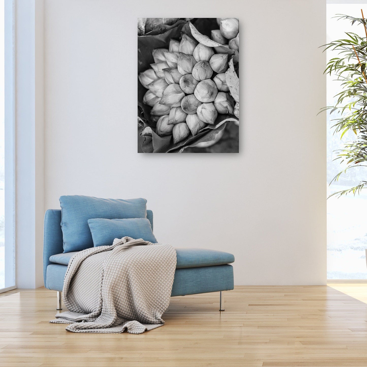 Flores de loto de Camboya - Panoramic Images