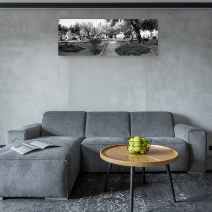 Monte de los Olivos Israel - Panoramic Images