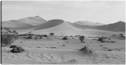 Dunas del desierto africano - Panoramic Images