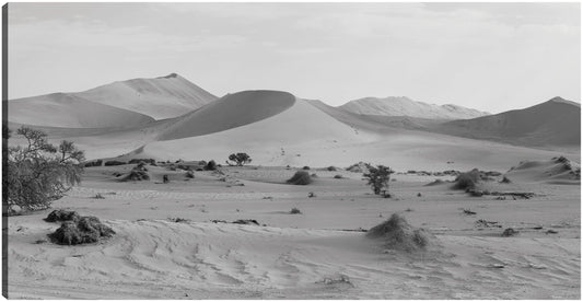Dunas del desierto africano - Panoramic Images