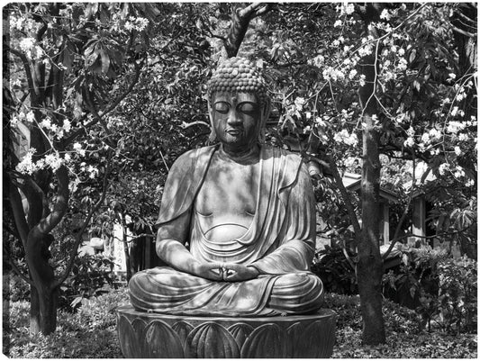Buda del jardín zen - Panoramic Images