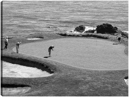 Putter Pacífico - Panoramic Images