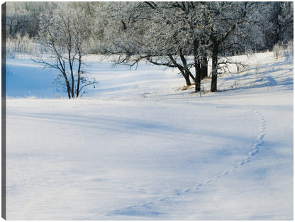 Granja de invierno de Minnesota - Panoramic Images