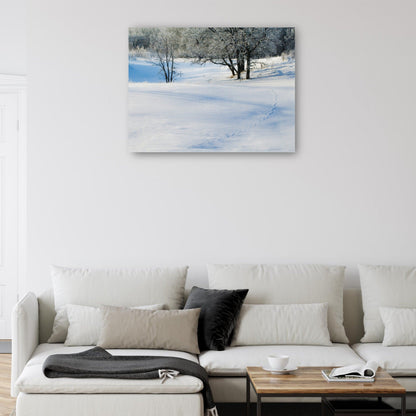 Granja de invierno de Minnesota - Panoramic Images