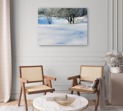 Granja de invierno de Minnesota - Panoramic Images