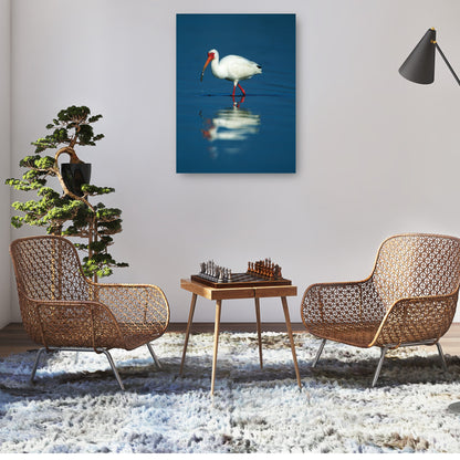 Enfriamiento Ibis - Panoramic Images