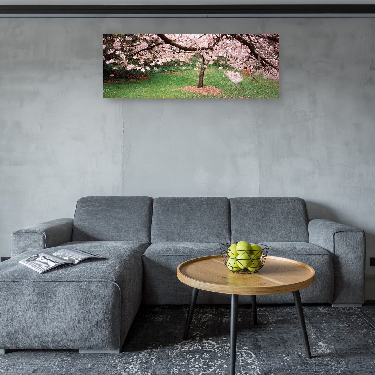 Cerezos costeros en flor - Panoramic Images