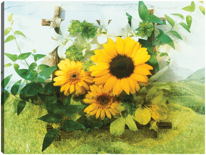 Los girasoles me animan - Panoramic Images