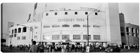Ventiladores de Comiskey Park - Panoramic Images