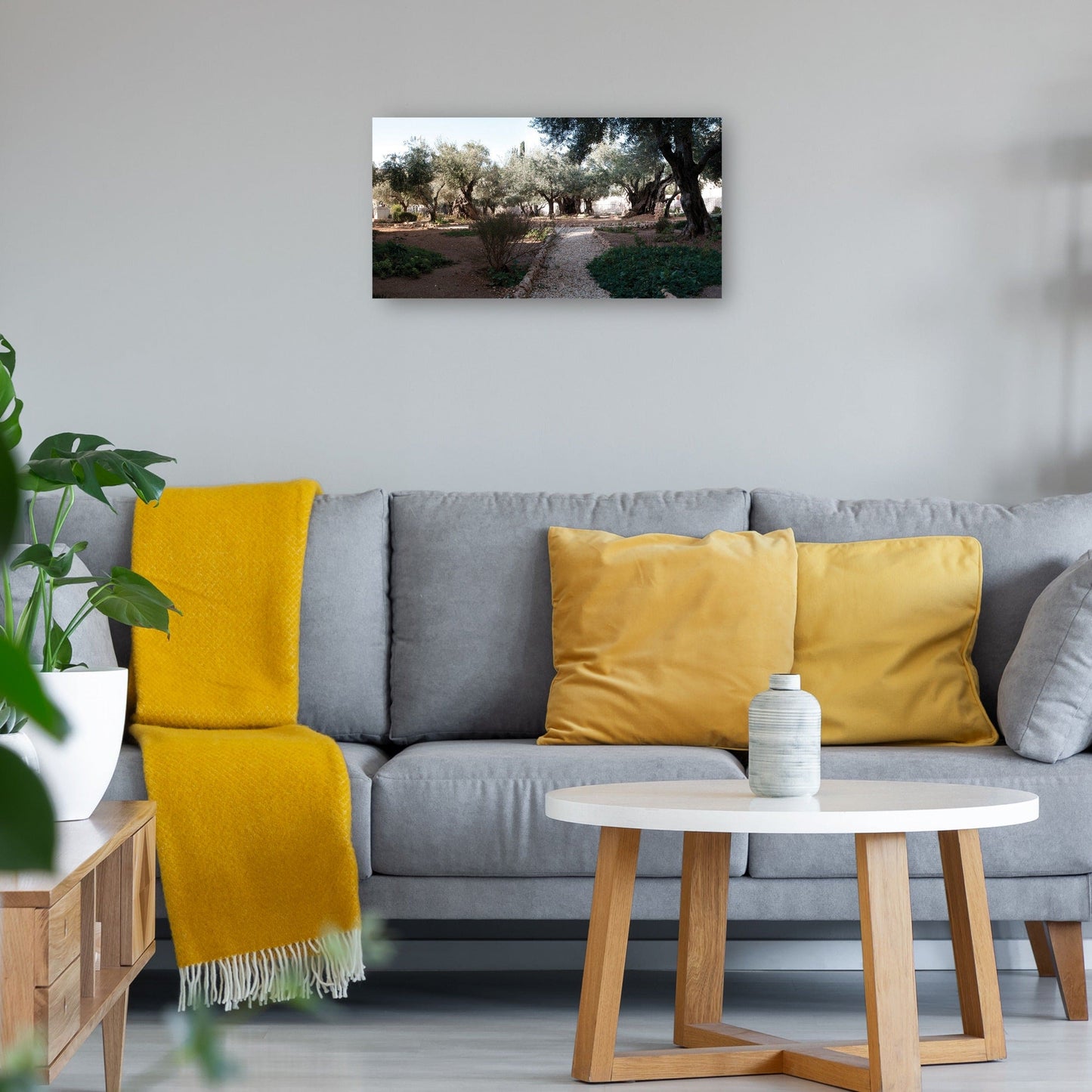 Jardín de la antigua Jerusalén - Panoramic Images