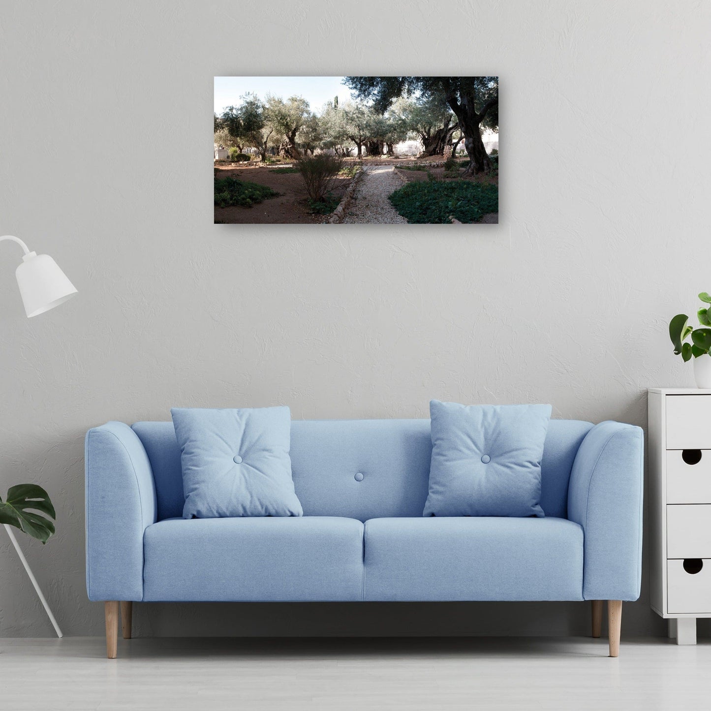 Jardín de la antigua Jerusalén - Panoramic Images