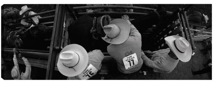 Sombreros de vaquero de rodeo - Panoramic Images