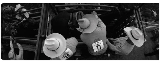 Sombreros de vaquero de rodeo - Panoramic Images