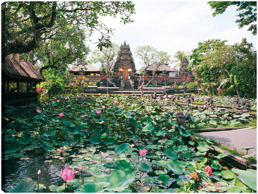 Estanque de flores de Bali - Panoramic Images