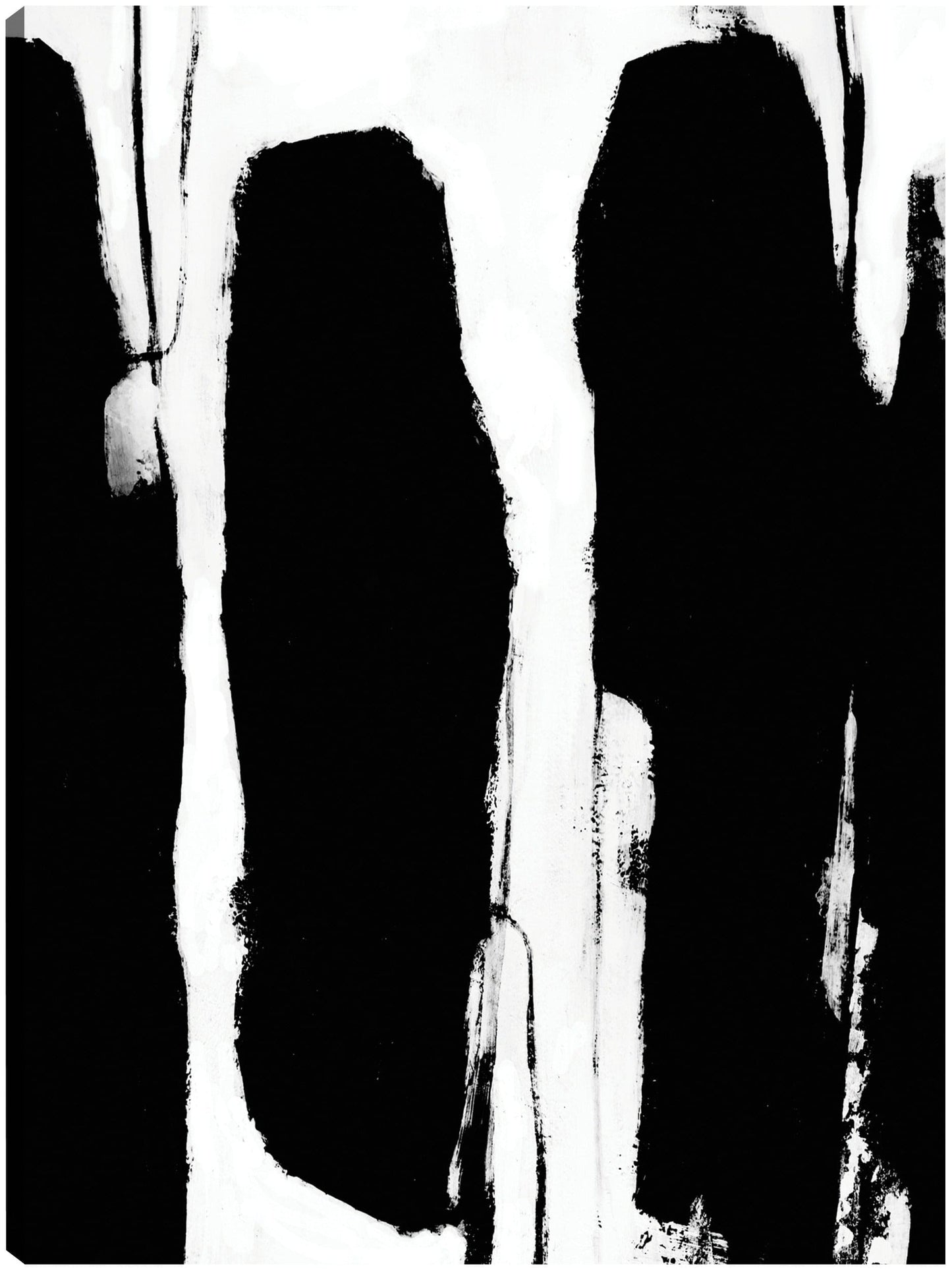 El canto - Scott Brems