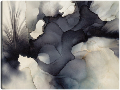 Sonido y color - Kippie Leonard