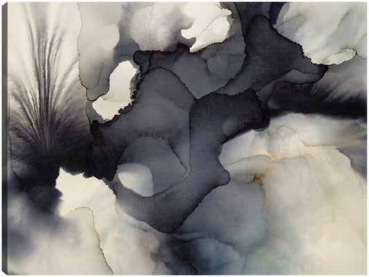Sonido y color - Kippie Leonard