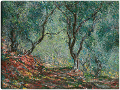 Bosque de oliviers en el jardín Moreno (1884) - Claude Monet