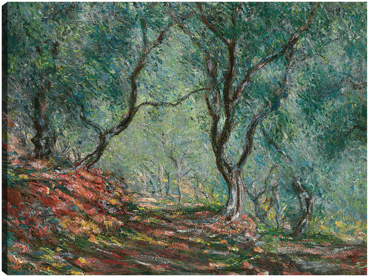 Bosque de oliviers en el jardín Moreno (1884) - Claude Monet