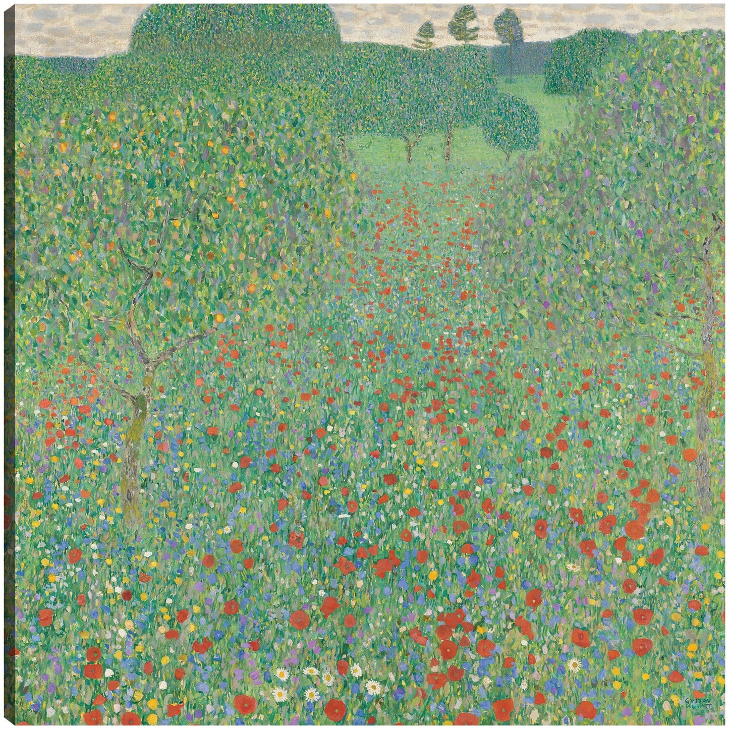 Bluhender Mohn Mohnwiese (1907) - Gustav Klimt