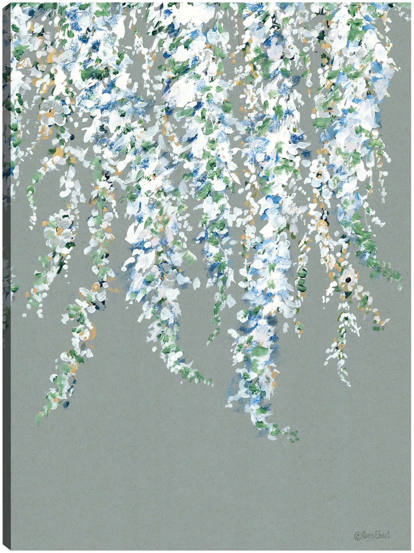 Glicina en flor - Roey Ebert