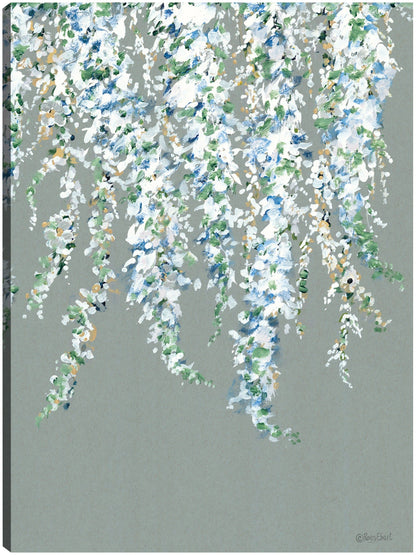Glicina en flor - Roey Ebert