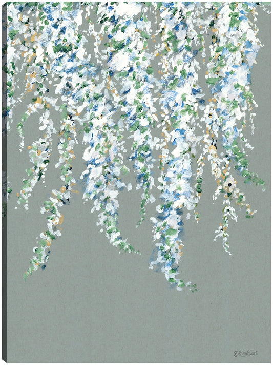 Glicina en flor - Roey Ebert