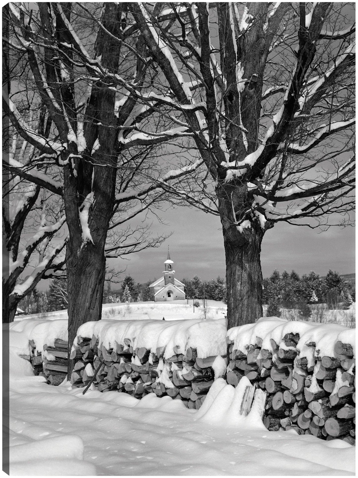 Invierno campestre clásico - Vintage Images