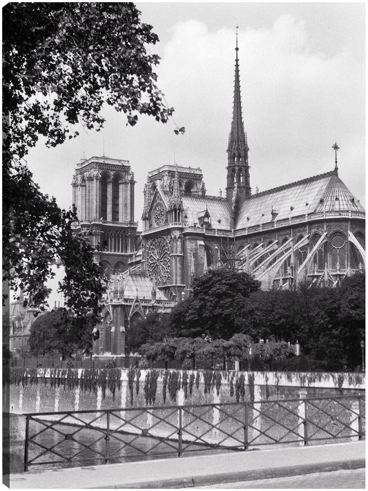Notre Dame gótica - Vintage Images