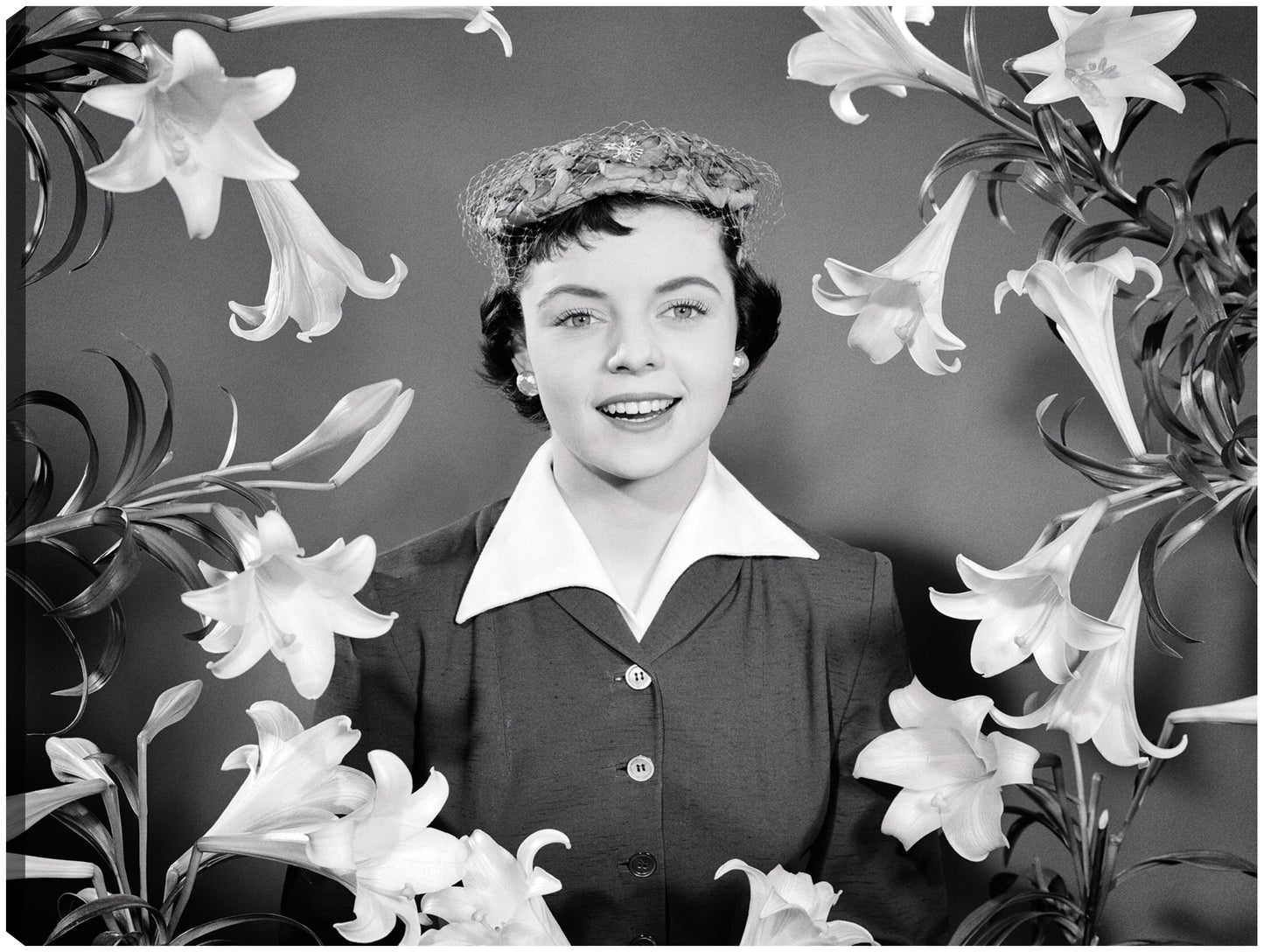 Lirio de Pascua Morena - Vintage Images