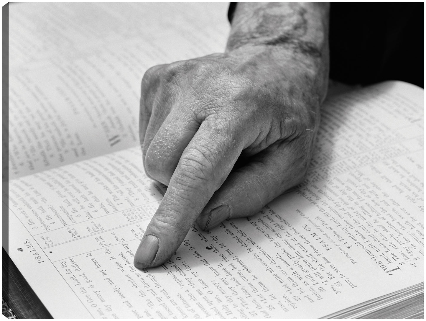 Lector fiel de la Biblia - Vintage Images