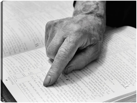 Lector fiel de la Biblia - Vintage Images