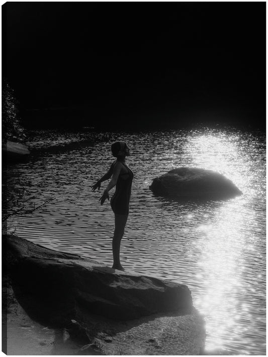 Sunset Sparkles Diver - Vintage Images