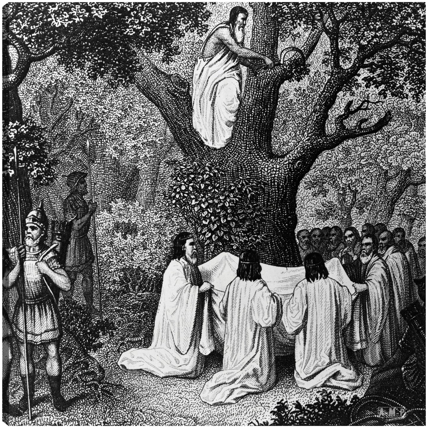 Monjes del bosque druida - Vintage Images